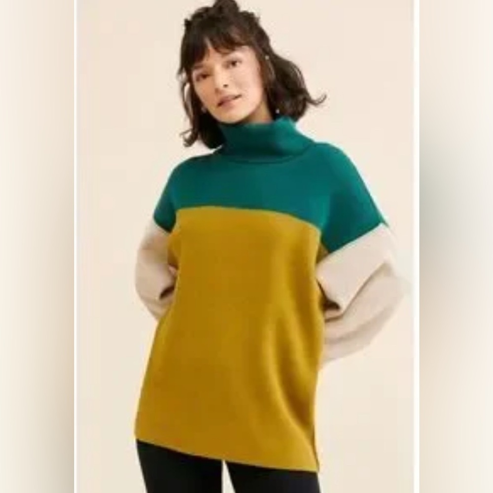 Free People NWOT (L) turtleneck sweater. Great condition